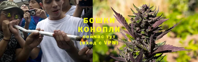 Бошки марихуана OG Kush  Нефтеюганск 